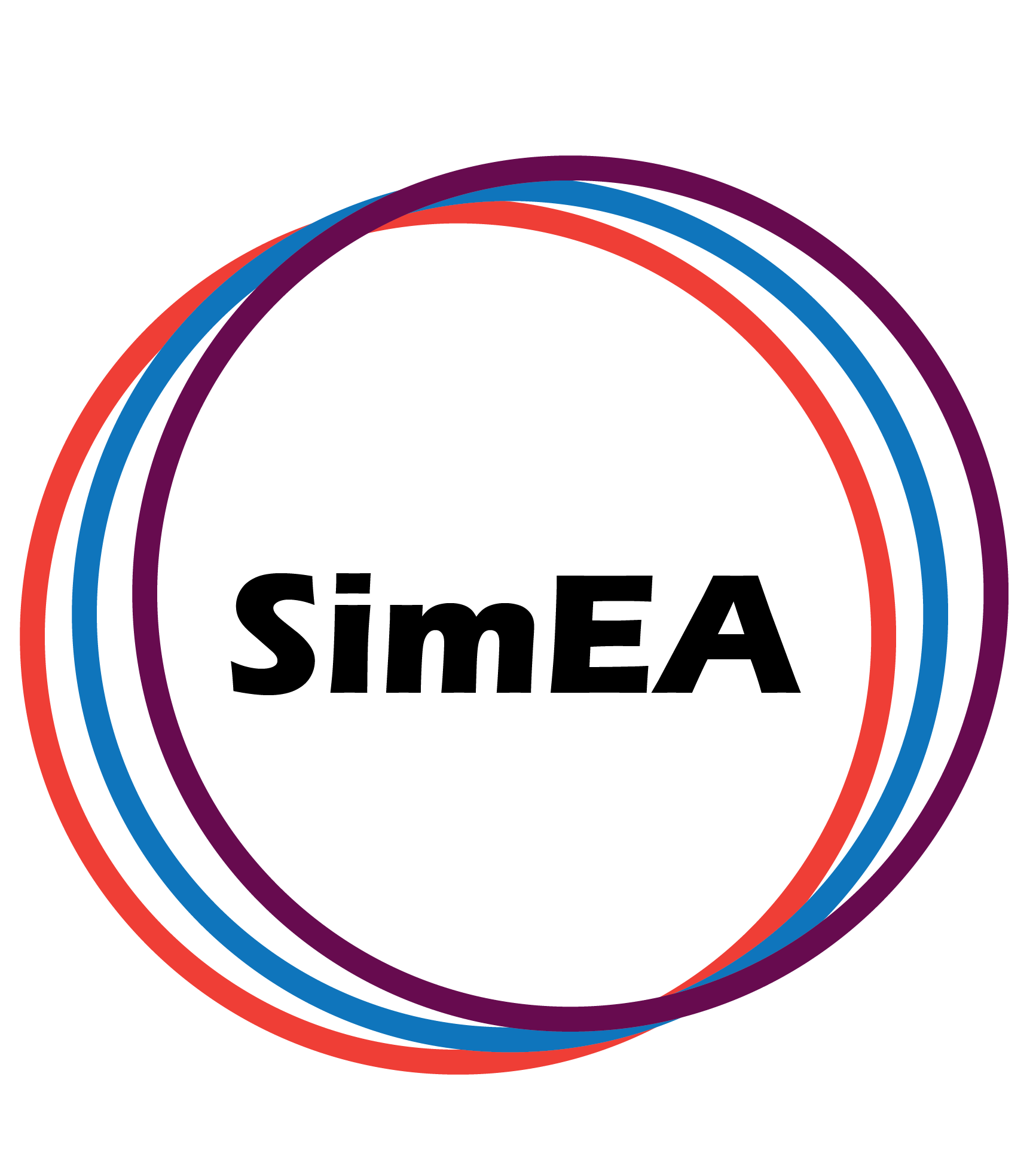SimEA 04